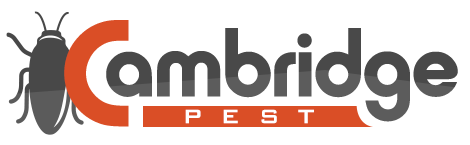 Cambridge Pest
